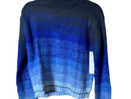 Sweater By American Eagle In Blue, Size: M For Sale