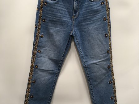 Jeans Straight By Driftwood In Blue Denim, Size: 8 Online Sale